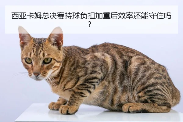 xi-ya-ka-mu-zong-jue-sai-chi-qiu-fu-dan-jia-zhong-hou-xiao-lv-hai-neng-shou-zhu-ma-2-167.jpg
