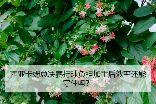 xi-ya-ka-mu-zong-jue-sai-chi-qiu-fu-dan-jia-zhong-hou-xiao-lv-hai-neng-shou-zhu-ma-1-830.jpg
