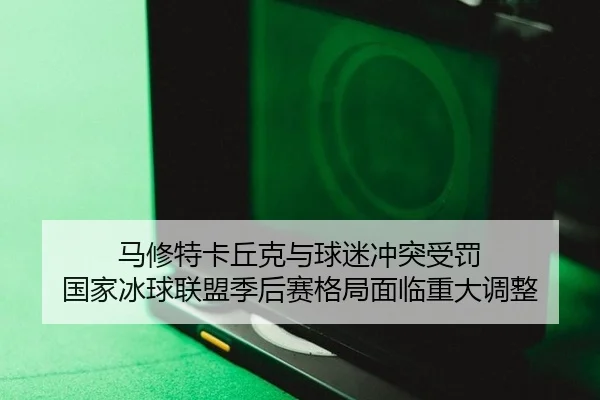 马修特卡丘克与球迷冲突受罚 国家冰球联盟季后赛格局面临重大调整