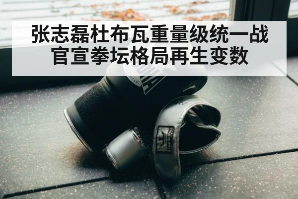boxing gloves